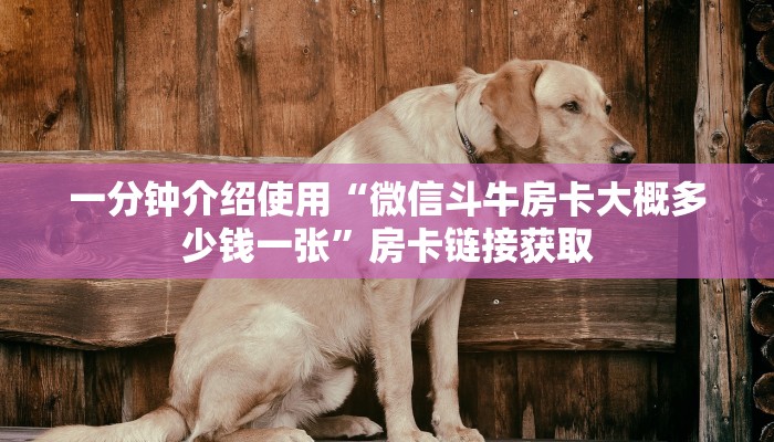 一分钟介绍使用“微信斗牛房卡大概多少钱一张”房卡链接获取