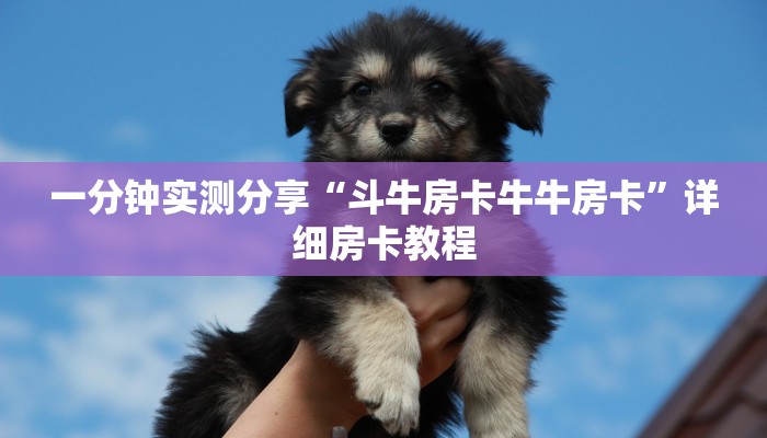 一分钟实测分享“斗牛房卡牛牛房卡”详细房卡教程
