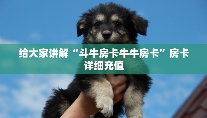给大家讲解“斗牛房卡牛牛房卡”房卡详细充值