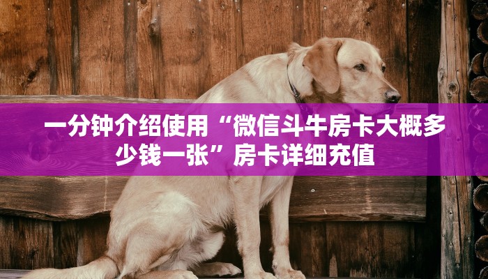 一分钟介绍使用“微信斗牛房卡大概多少钱一张”房卡详细充值