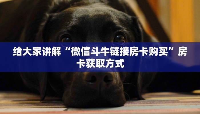 给大家讲解“微信斗牛链接房卡购买”房卡获取方式