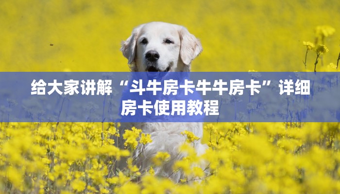 给大家讲解“斗牛房卡牛牛房卡”详细房卡使用教程