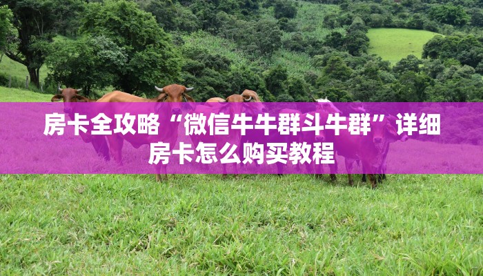 房卡全攻略“微信牛牛群斗牛群”详细房卡怎么购买教程