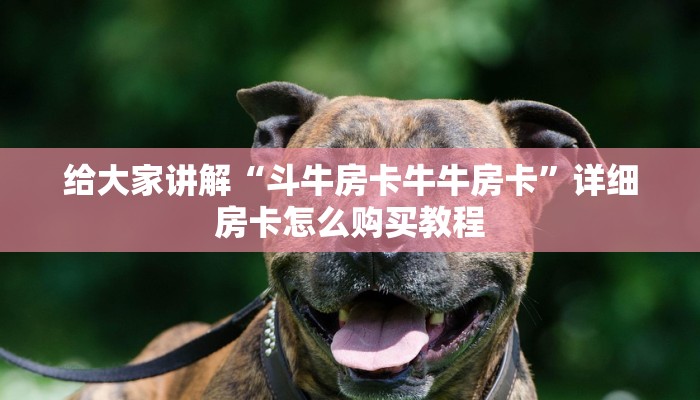给大家讲解“斗牛房卡牛牛房卡”详细房卡怎么购买教程