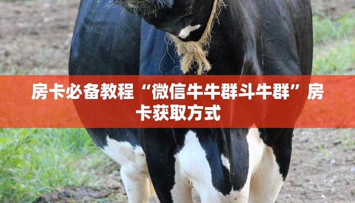 房卡必备教程“微信牛牛群斗牛群”房卡获取方式