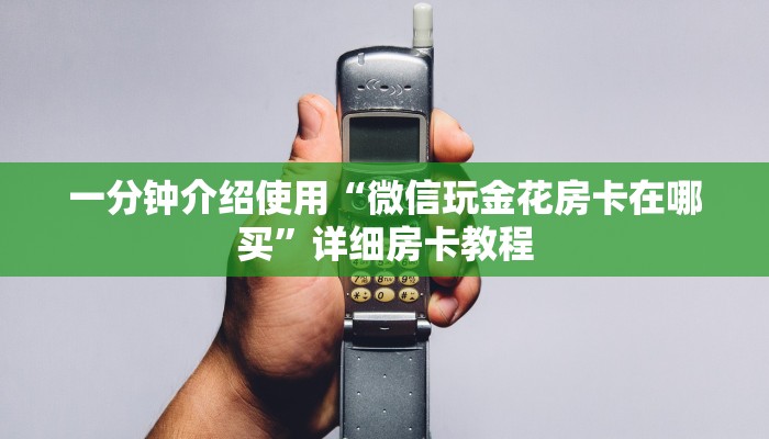 一分钟介绍使用“微信玩金花房卡在哪买”详细房卡教程