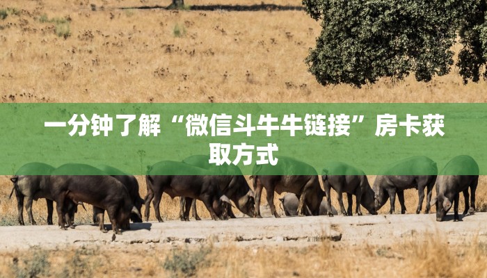 一分钟了解“微信斗牛牛链接”房卡获取方式