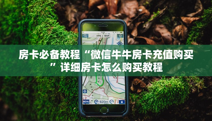 房卡必备教程“微信牛牛房卡充值购买”详细房卡怎么购买教程