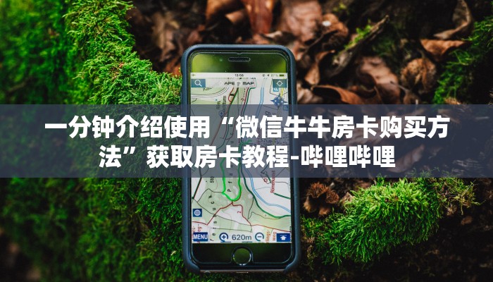 一分钟介绍使用“微信牛牛房卡购买方法”获取房卡教程-哔哩哔哩
