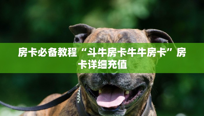 房卡必备教程“斗牛房卡牛牛房卡”房卡详细充值