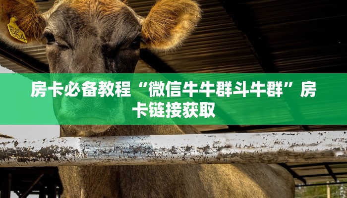 房卡必备教程“微信牛牛群斗牛群”房卡链接获取