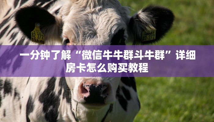 一分钟了解“微信牛牛群斗牛群”详细房卡怎么购买教程