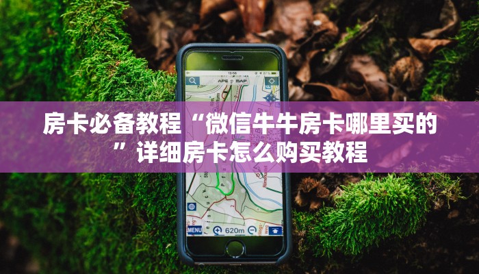 房卡必备教程“微信牛牛房卡哪里买的”详细房卡怎么购买教程