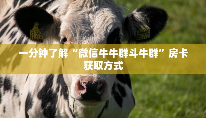一分钟了解“微信牛牛群斗牛群”房卡获取方式