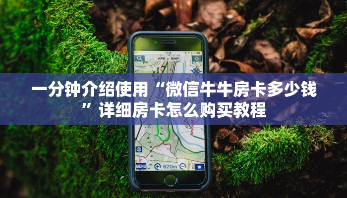一分钟介绍使用“微信牛牛房卡多少钱”详细房卡怎么购买教程