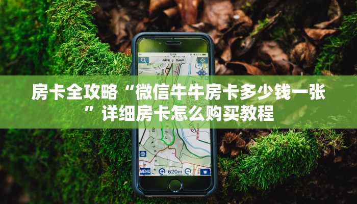 房卡全攻略“微信牛牛房卡多少钱一张”详细房卡怎么购买教程
