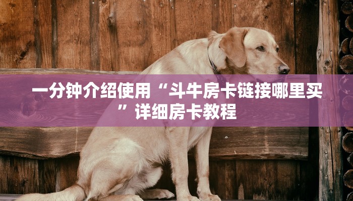 一分钟介绍使用“斗牛房卡链接哪里买”详细房卡教程