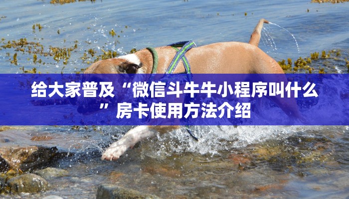 给大家普及“微信斗牛牛小程序叫什么”房卡使用方法介绍