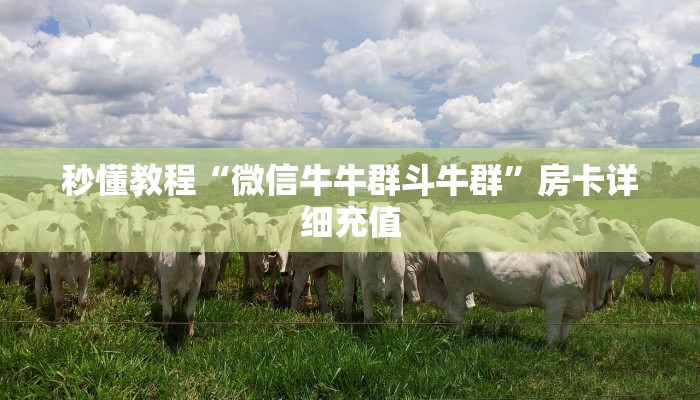 秒懂教程“微信牛牛群斗牛群”房卡详细充值