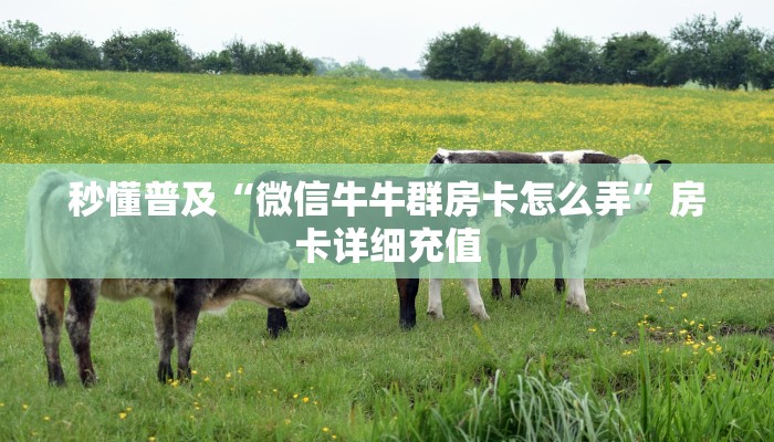秒懂普及“微信牛牛群房卡怎么弄”房卡详细充值