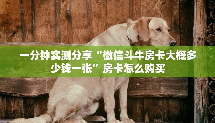 一分钟实测分享“微信斗牛房卡大概多少钱一张”房卡怎么购买