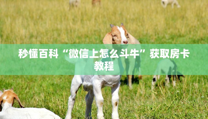 秒懂百科“微信上怎么斗牛”获取房卡教程