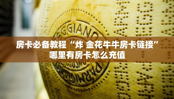 房卡必备教程“炸 金花牛牛房卡链接”哪里有房卡怎么充值