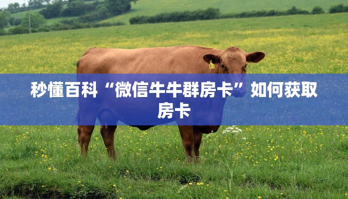 秒懂百科“微信牛牛群房卡”如何获取房卡