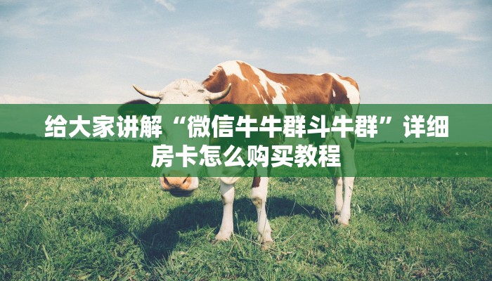 给大家讲解“微信牛牛群斗牛群”详细房卡怎么购买教程