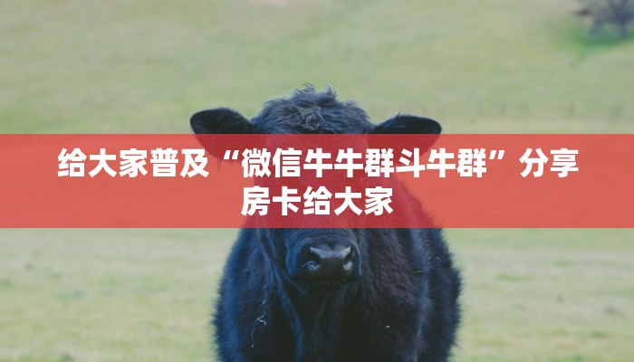 给大家普及“微信牛牛群斗牛群”分享房卡给大家