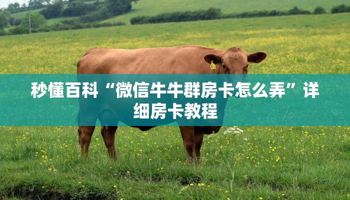 秒懂百科“微信牛牛群房卡怎么弄”详细房卡教程