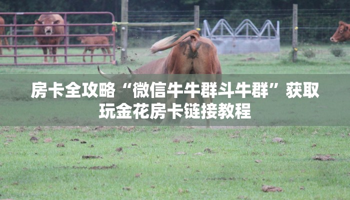 房卡全攻略“微信牛牛群斗牛群”获取玩金花房卡链接教程