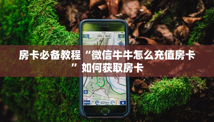 房卡必备教程“微信牛牛怎么充值房卡”如何获取房卡