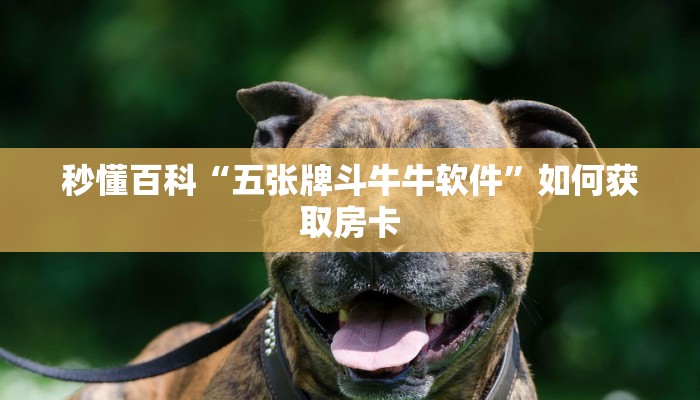 秒懂百科“五张牌斗牛牛软件”如何获取房卡