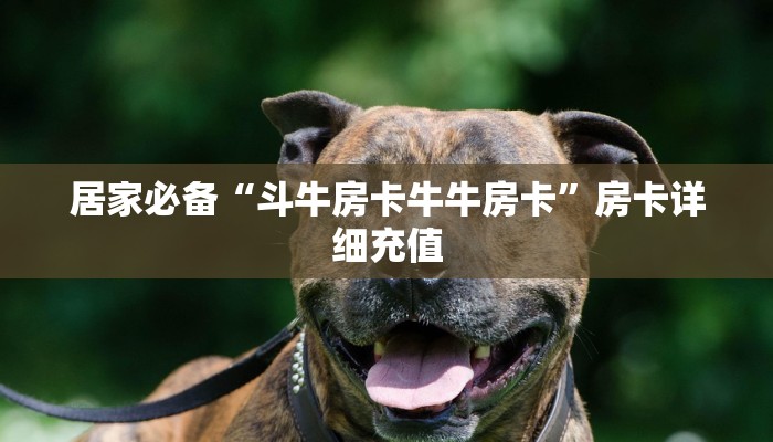 居家必备“斗牛房卡牛牛房卡”房卡详细充值