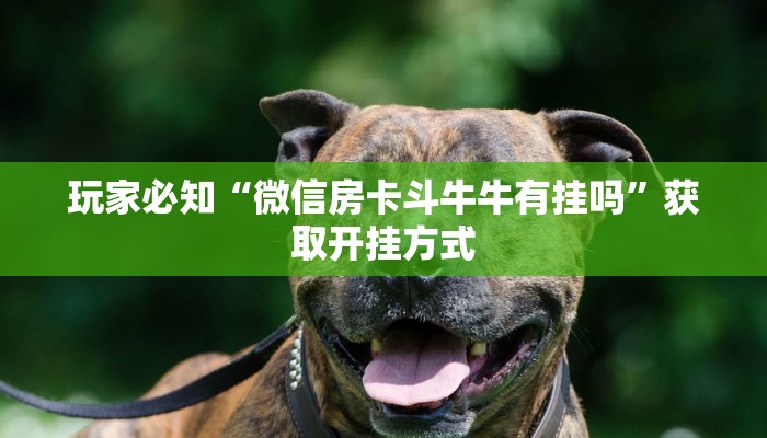 玩家必知“微信房卡斗牛牛有挂吗”获取开挂方式