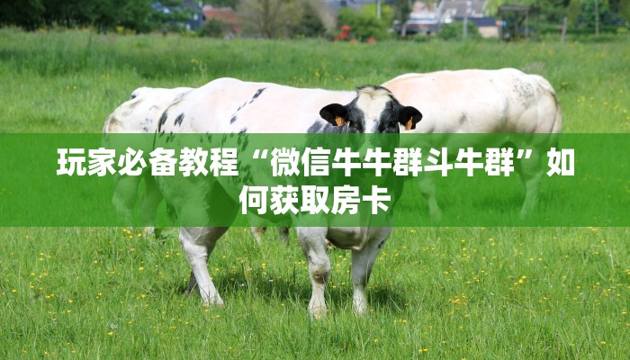 玩家必备教程“微信牛牛群斗牛群”如何获取房卡