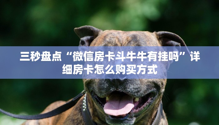三秒盘点“微信房卡斗牛牛有挂吗”详细房卡怎么购买方式