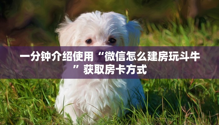 一分钟介绍使用“微信怎么建房玩斗牛”获取房卡方式