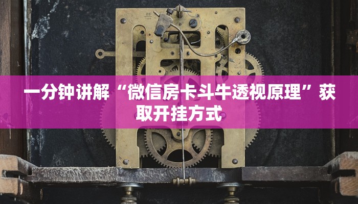 一分钟讲解“微信房卡斗牛透视原理”获取开挂方式