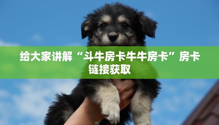 给大家讲解“斗牛房卡牛牛房卡”房卡链接获取